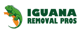 Iguana Removal Pros